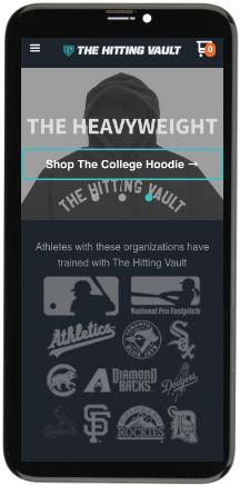 The Hitting Vault Online Architecture